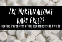 Dairy Free Marshmallows Every Major Brand Reviewed