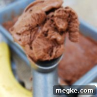 Creamy No Churn Vegan Chocolate Banana Ice Cream 5 Recipe card image for No-Churn Vegan Chocolate-Banana Ice Cream, highlighting its allergy-friendly attributes.