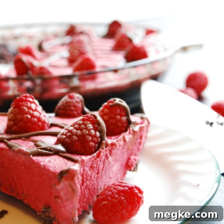 Wholesome Vegan Raspberry Ice Pie 4 Gluten Free Vegan Frozen Raspberry Pie