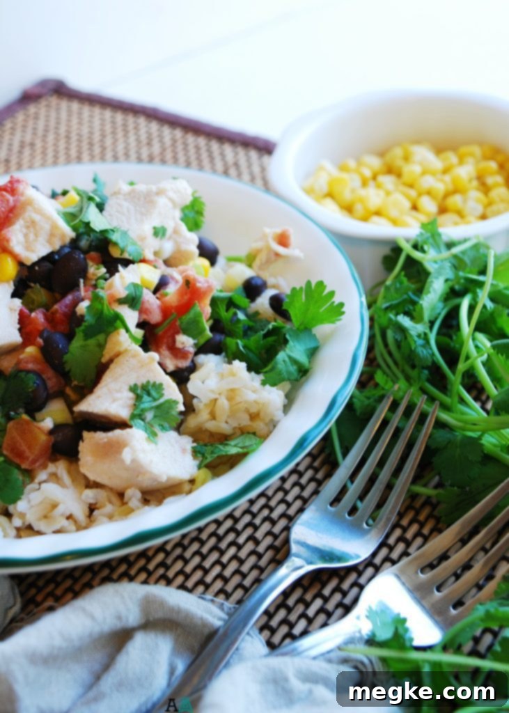 Slow Cooker Santa Fe Chicken (GF, DF, Egg, Peanut, Tree nut Free) Dinner Recipe by AllergyAwesomeness.com