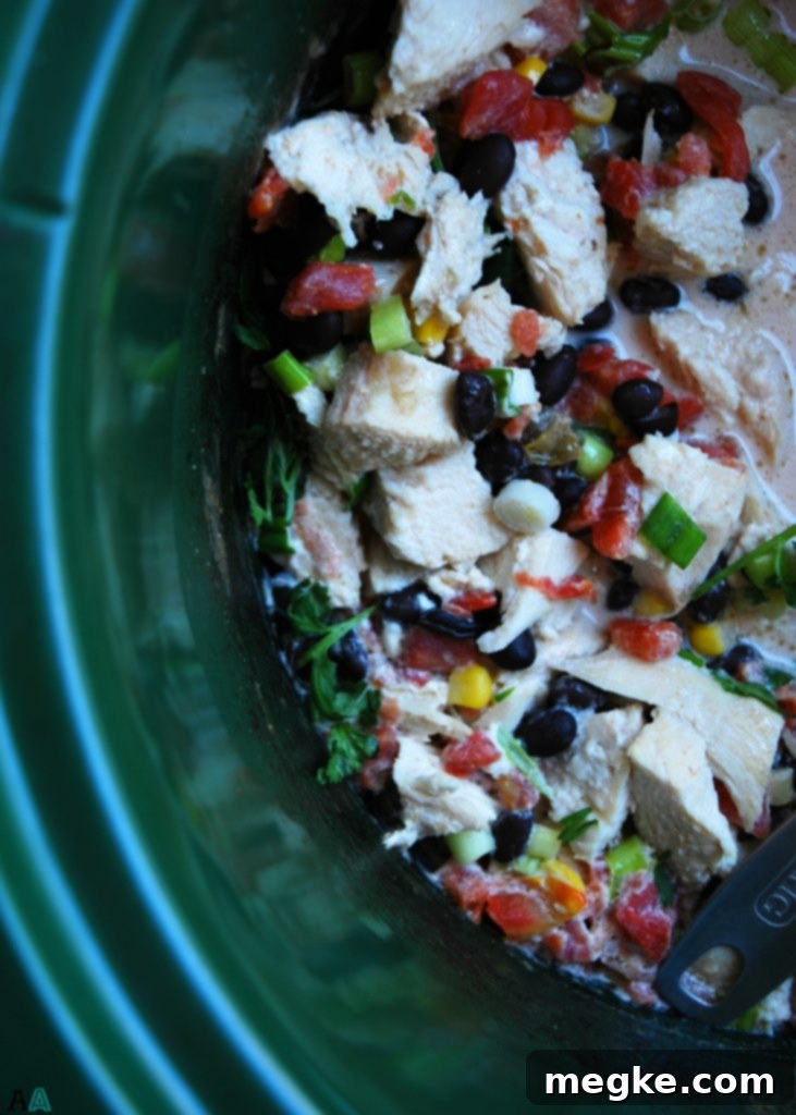 Slow Cooker Santa Fe Chicken (GF, DF, Egg, Peanut, Tree nut Free) Dinner Recipe by AllergyAwesomeness.com