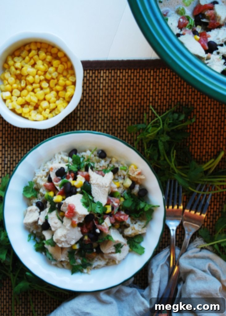 Slow Cooker Santa Fe Chicken (GF, DF, Egg, Peanut, Tree nut Free) Dinner Recipe by AllergyAwesomeness.com