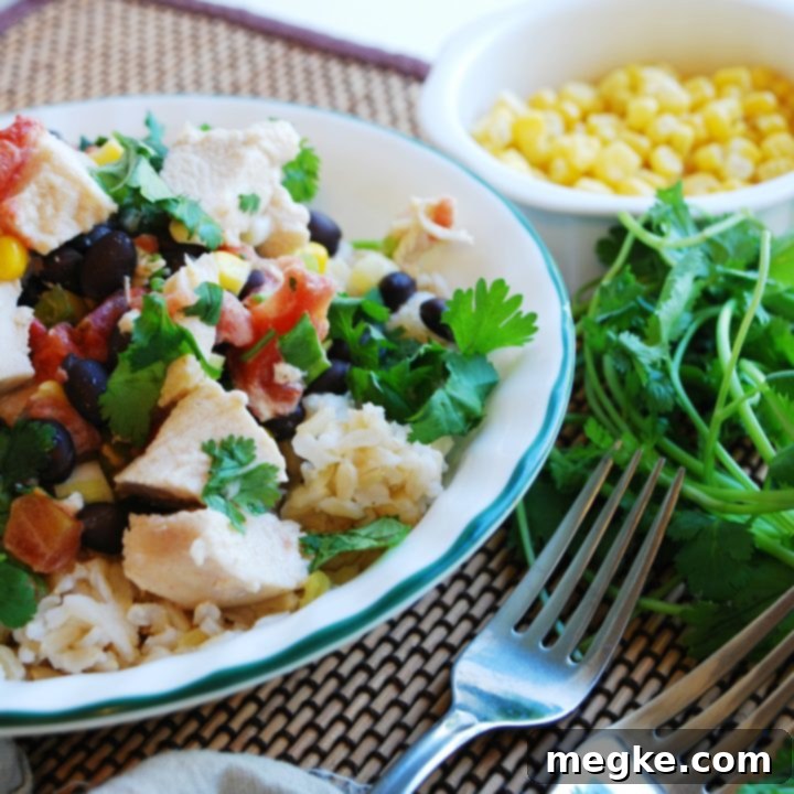 Slow Cooker Sante Fe Chicken 5 dairy-free-Slow-Cooker-Sante-Fe-Chicken-Dinner-recipe
