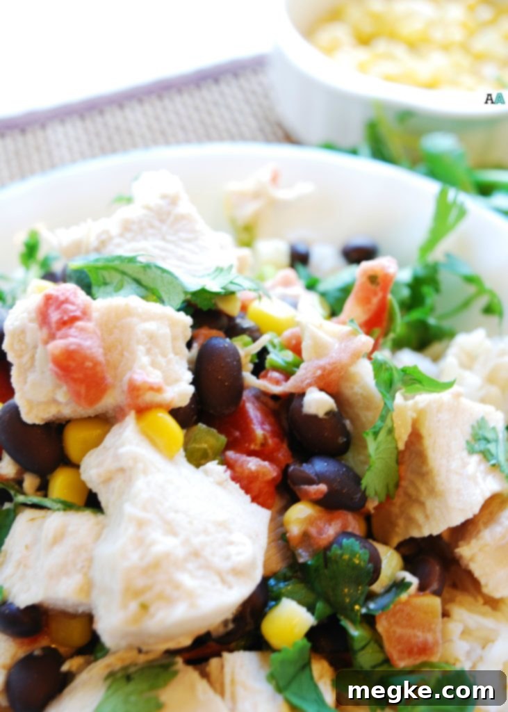 Slow Cooker Sante Fe Chicken (GF, DF, Egg, Peanut, Tree nut Free) Dinner Recipe by AllergyAwesomeness.com