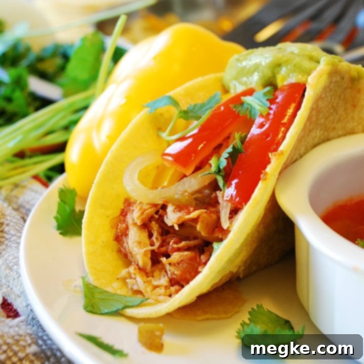Top 8 Allergen Free Slow Cooker Salsa Chicken Tacos 8 dairy-free-slow-cooker-salsa-chicken-tacos