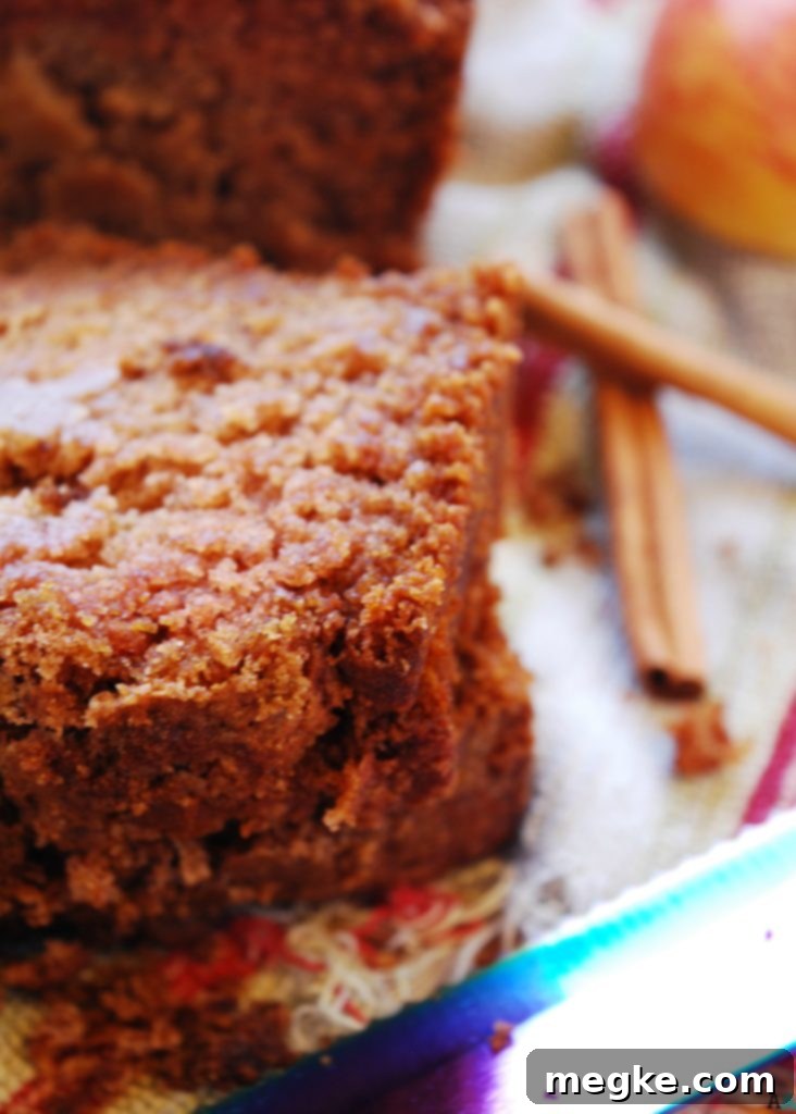Applesauce Quick Bread (Gluten, dairy, egg, soy, peanut & tree nut free; top 8 free; vegan) Recipe by AllergyAwesomeness.com