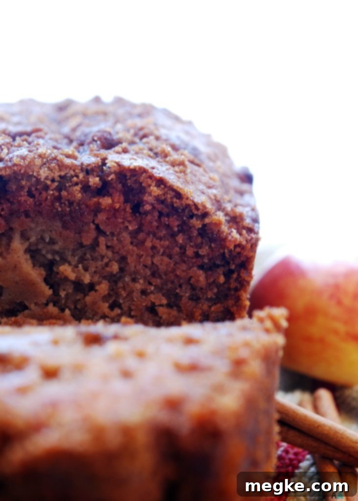 Applesauce Quick Bread (Gluten, dairy, egg, soy, peanut & tree nut free; top 8 free; vegan) Recipe by AllergyAwesomeness.com