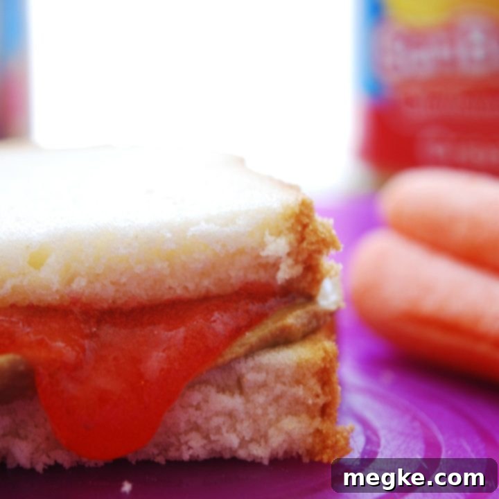 Vegan PBJ Free From Top 8 Allergens 6 img 1511 5