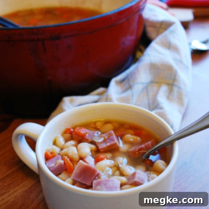 Hearty Ham and Bean Soup Top 8 Allergen Free with a Giveaway 5 Ham & Bean Soup (Gluten, dairy, egg, soy, peanut & tree nut free; top 8 free) Dinner recipe by AllergyAwesomeness.com
