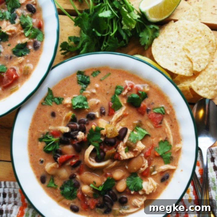 Worry-Free Slow Cooker Green Chile Enchilada Soup 6 dairy-free-Slow-Cooker-Green-Chile-Enchilada-Soup-recipe