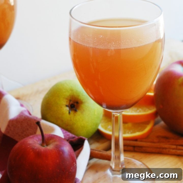 Warm Spiced Slow Cooker Apple Pear Cider 6 Slow Cooker Apple Pear Cider (Gluten, dairy, egg, soy, peanut & tree nut free; top 8 free; vegan) Drink recipe by AllergyAwesomeness.com