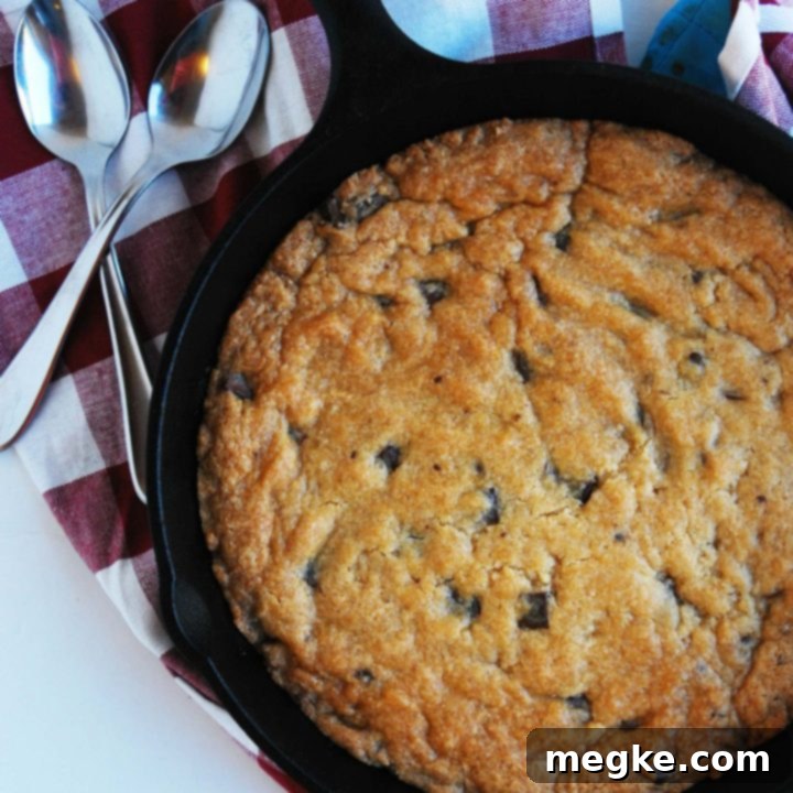 The Perfect Gluten Free Vegan Nut Free Skillet Cookie 6 gluten-free-dairy-free-skillet-cookie-shot-above