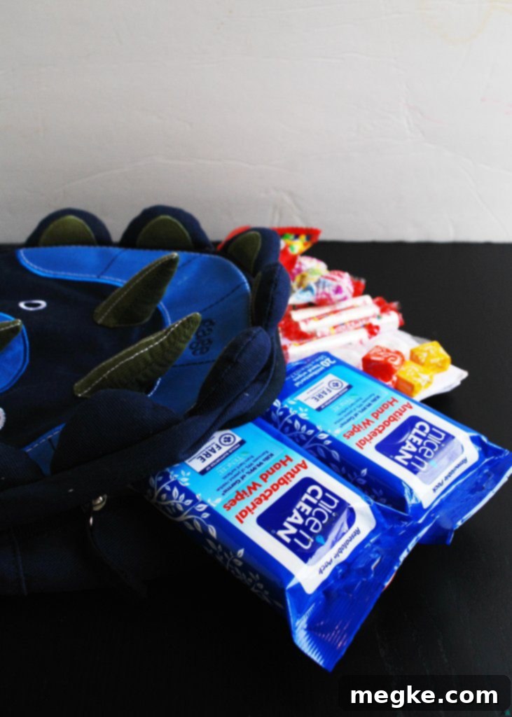 Nice N Clean wipes in a backpack with treats