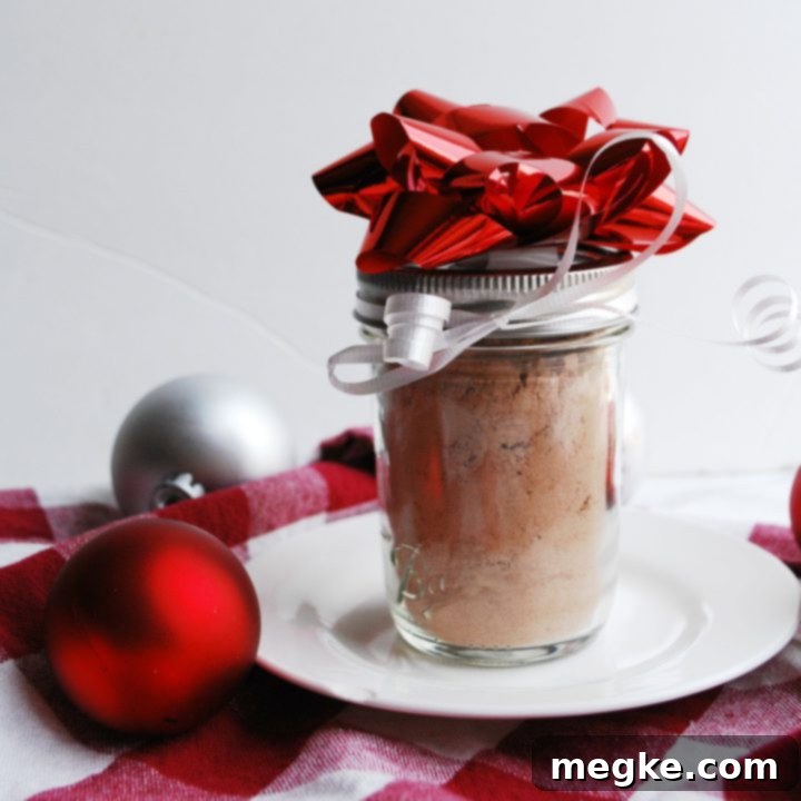 Velvety Vegan Homemade Hot Cocoa Mix 7 Dairy-free & Vegan Homemade Hot Cocoa Mix by AllergyAwesomeness.com