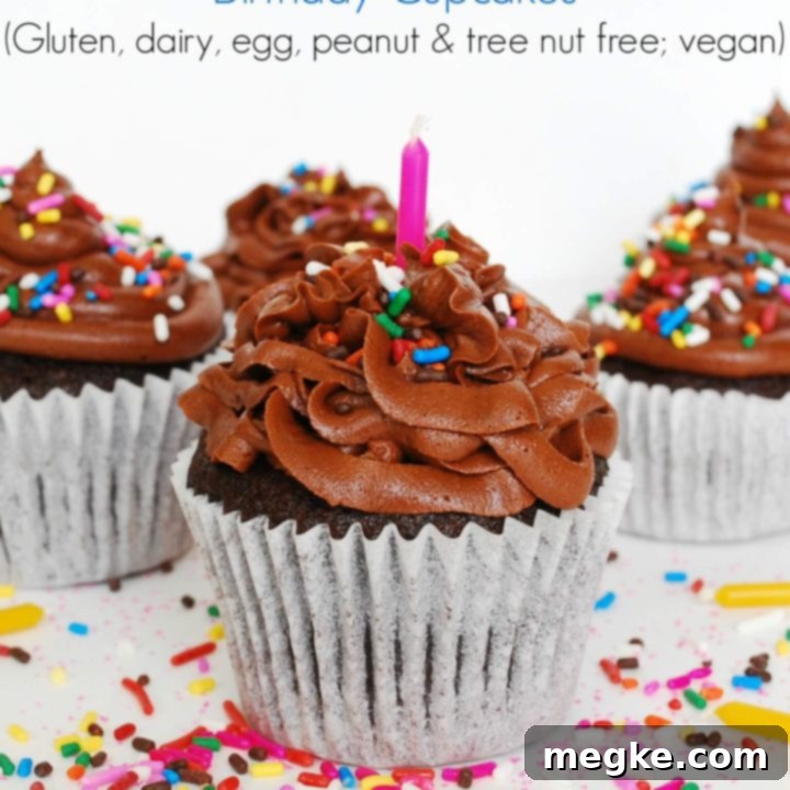 Allergy Friendly Vegan Chocolate Birthday Cupcakes Gluten Dairy Egg Peanut and Tree Nut Free 7 The BEST Allergy-friendly Chocolate Birthday Cupcakes