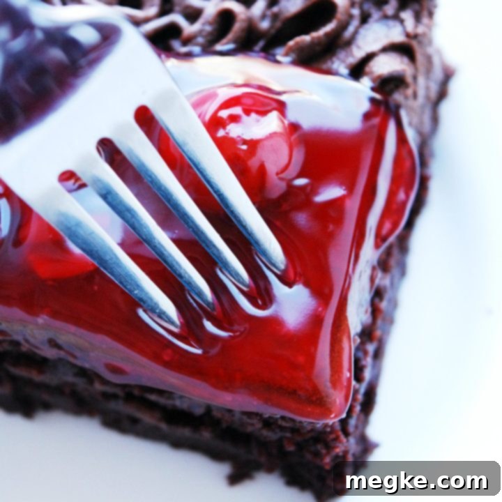 Irresistible Double Cherry Chocolate Cake Gluten-Free Vegan and Allergen-Friendly 9 Gluten-free Vegan Cherry Chocolate Cake. Dessert recipe by AllergyAwesomeness.com