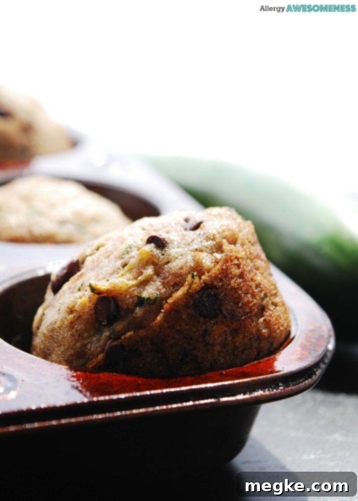 Top 8 Allergen-Free Chocolate Chip Zucchini Muffins 2 Vegan Chocolate Chip Zucchini Muffins