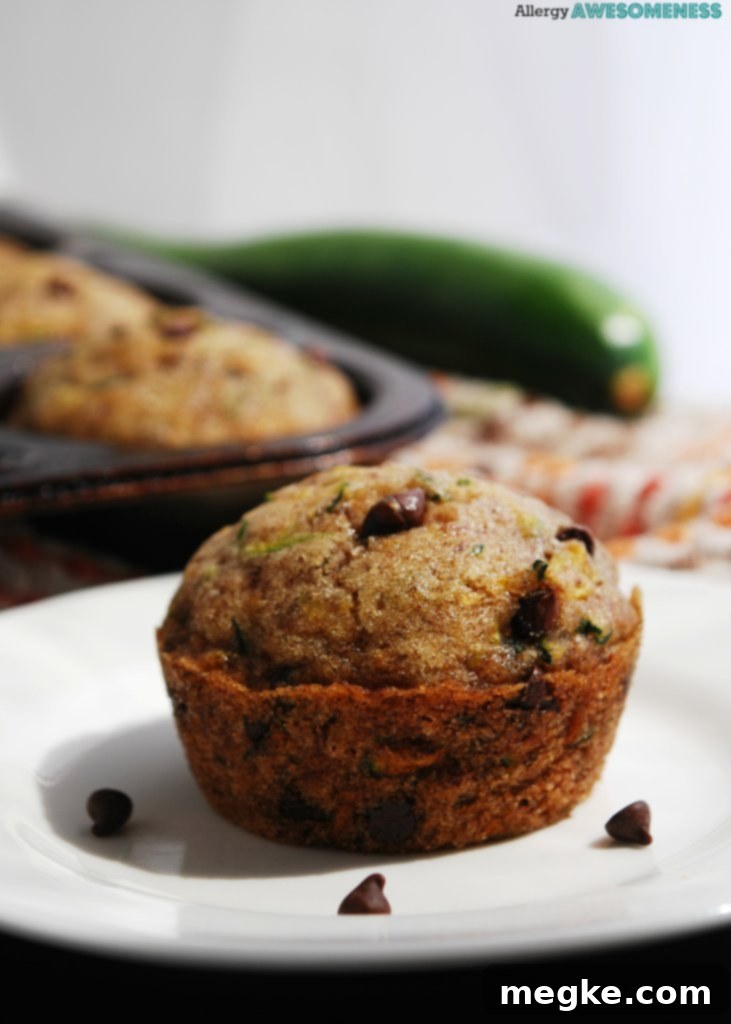 Top 8 Allergen-Free Chocolate Chip Zucchini Muffins 3 Egg-free Chocolate Chip Zucchini Muffins