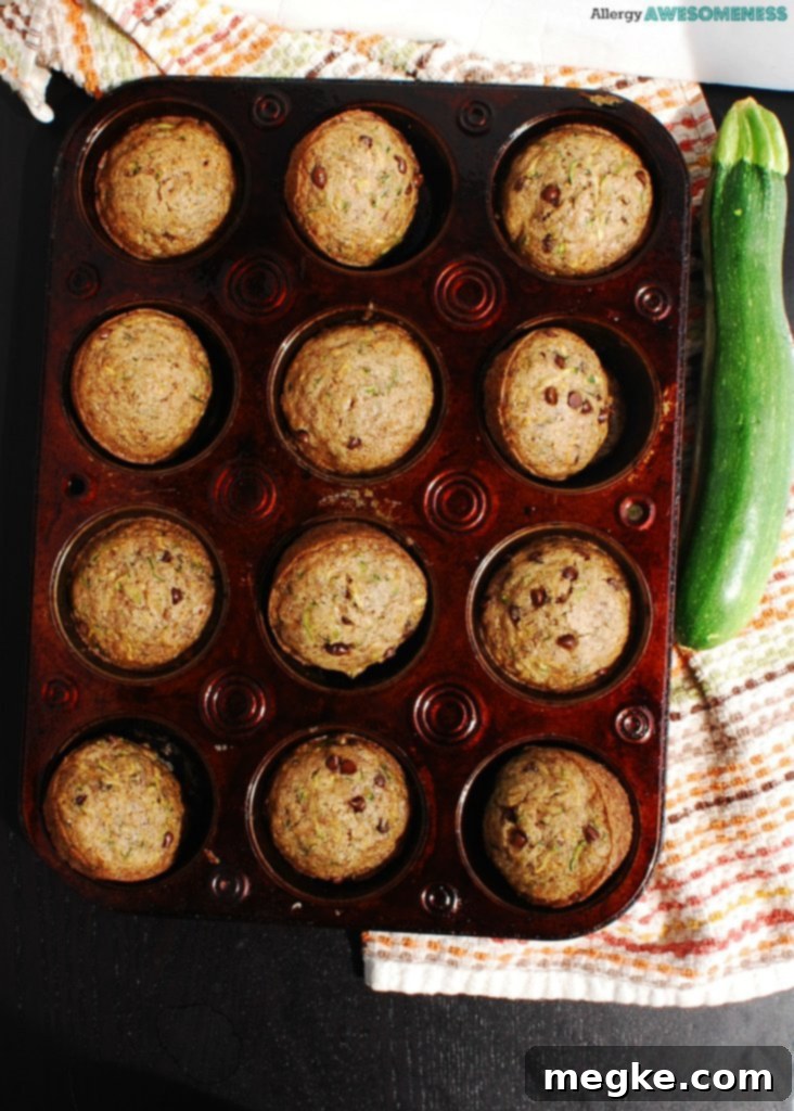 Top 8 Allergen-Free Chocolate Chip Zucchini Muffins 4 Dairy-free Chocolate Chip Zucchini Muffins