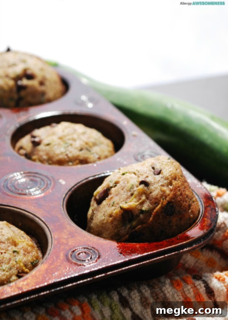 Top 8 Allergen-Free Chocolate Chip Zucchini Muffins 5 Top-8-free Muffin Recipe