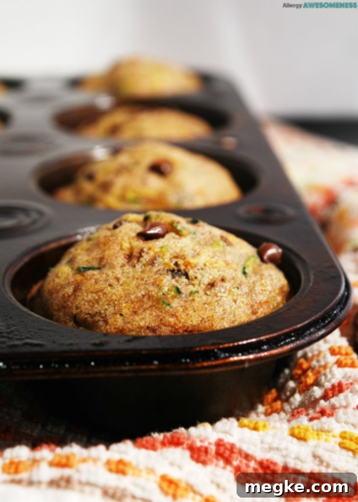 Top 8 Allergen-Free Chocolate Chip Zucchini Muffins 6 Gluten-free Chocolate Chip Zucchini Muffins