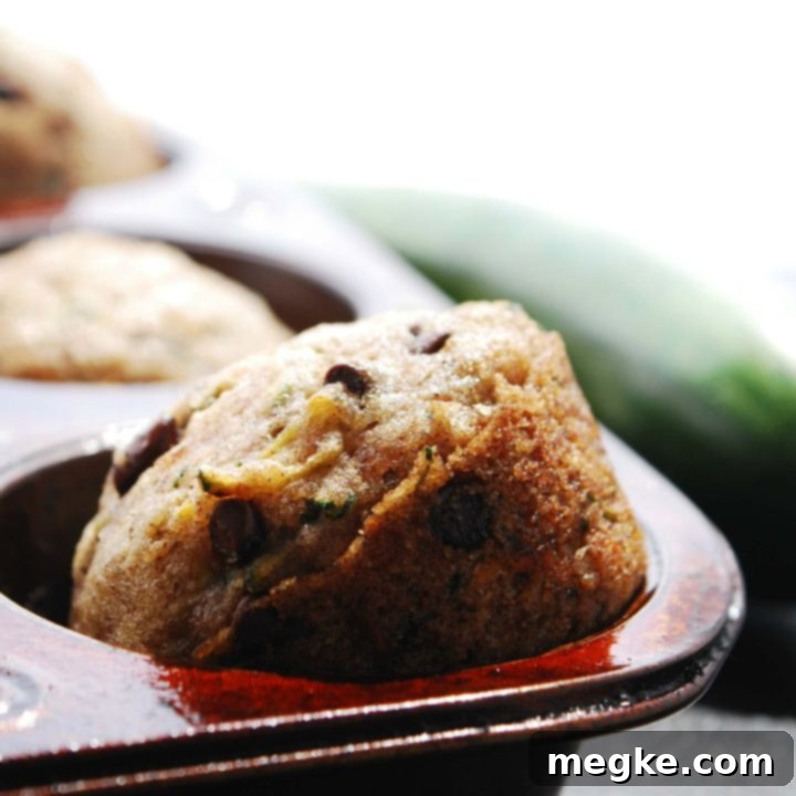 Top 8 Allergen-Free Chocolate Chip Zucchini Muffins 7 Vegan Chocolate Chip Zucchini Muffins