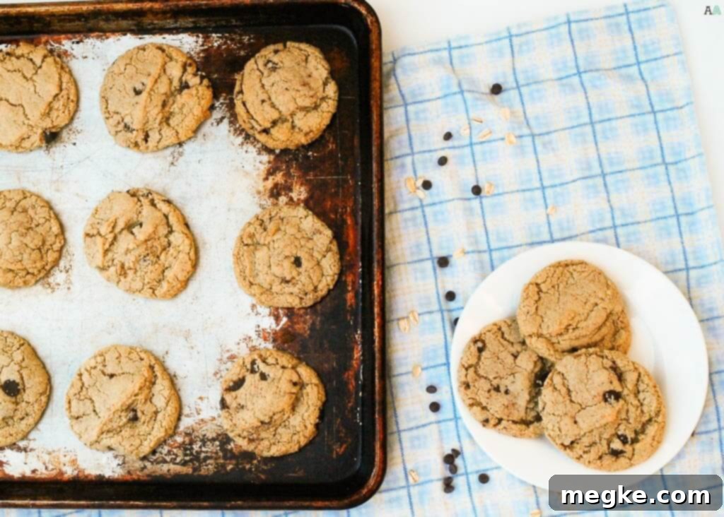 Close-up of a stack of gluten-free, dairy-free, egg-free oatmeal chocolate chip cookies, showcasing their perfect texture for allergy-friendly diets.