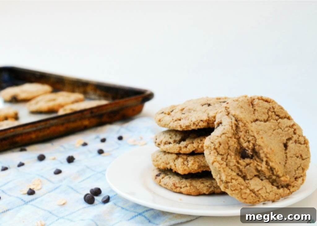 A plate of freshly baked gluten-free, dairy-free oatmeal chocolate chip cookies, ready to be enjoyed.