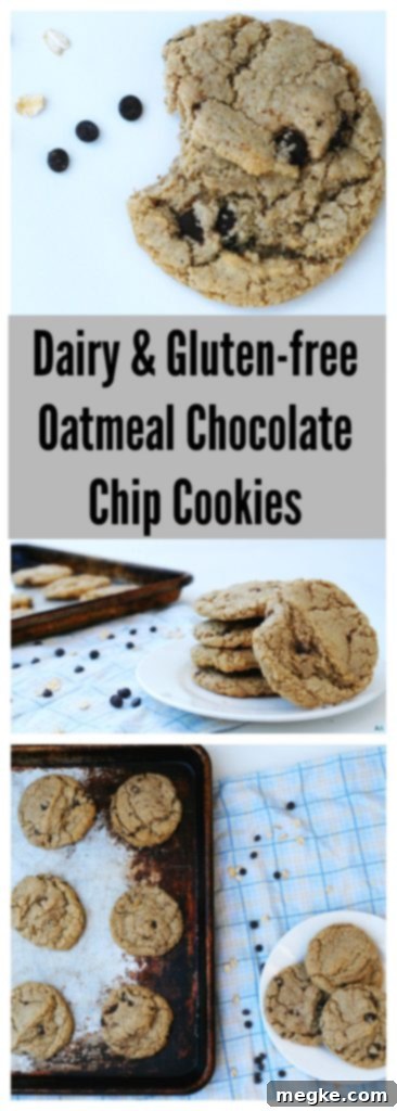 Pinterest graphic: Dairy and Gluten-free Oatmeal Chocolate Chip Cookies by AllergyAwesomeness.com