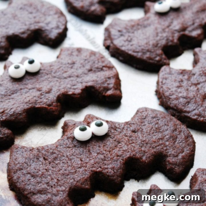 Vegan Top 8 Allergen Friendly Chocolate Sugar Cookie Bats 7 Gluten-free, dairy-free, chocolate sugar cookie bat treats for Halloween, decorated with googly eyes.