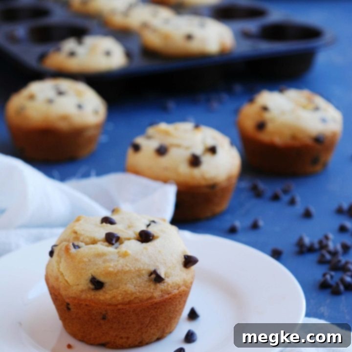 Delightful Top 8 Allergen Free Vegan Gluten Free Chocolate Chip Muffins 8 Gluten-free vegan chocolate chip muffins, a delightful top-8-free recipe.
