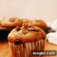 Blender Made Banana Oatmeal Chocolate Chip Muffins Free From Gluten Dairy Egg Soy Peanuts Tree Nuts 2 vegan-gluten-free-blender-oatmeal-banana-chocolate-chip-muffin-recipe