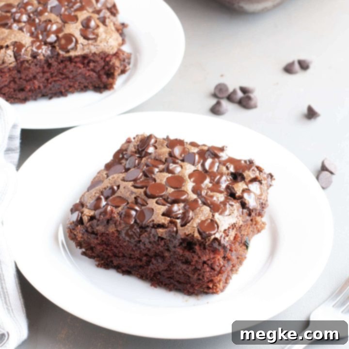 Allergy Friendly Gluten Free Vegan Chocolate Zucchini Cake 6 allergy-free-chocolate-zucchini-cake