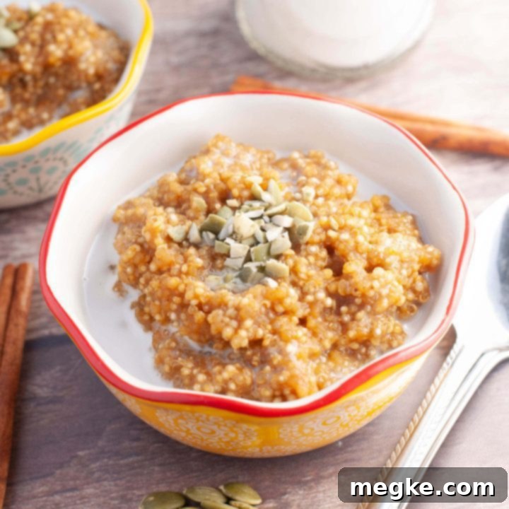Cozy Autumn Instant Pot Pumpkin Quinoa Porridge 6 Pumpkin Quinoa Porridge in a bowl with pumpkin seeds