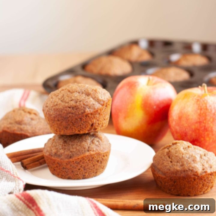 Delicious Gluten-Free Vegan Top-8-Free Cinnamon Applesauce Muffins 7 vegan-gluten-free-cinnamon-applesauce-muffins