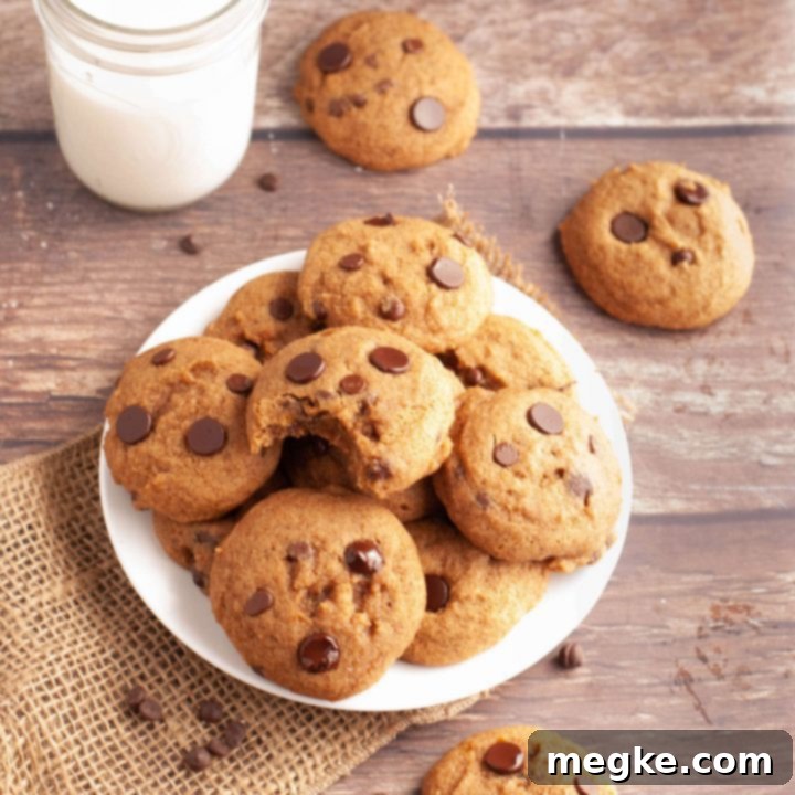The Best Gluten-Free Top-8-Free Vegan Pumpkin Chocolate Chip Cookies 7 gluten-free dairy-free pumpkin chocolate chip cookies - a top-down view of freshly baked cookies with vegan chocolate chips