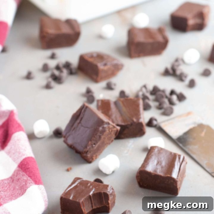 The Easiest Vegan Fudge No Thermometer Needed 7 Delicious dairy-free fudge squares made with condensed coconut milk