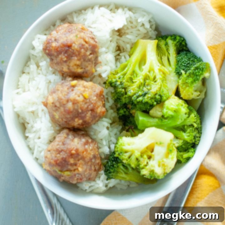 Gluten Dairy Egg Nut Free Asian Quinoa Meatballs 7 egg-free-asian-quinoa-meatballs-close-upin-a-bowl