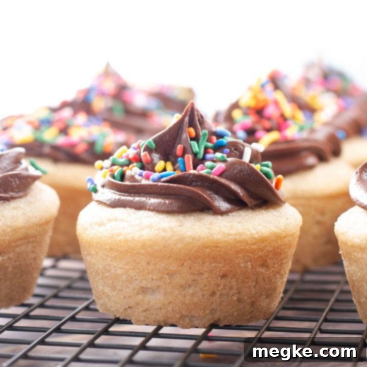 Vegan Gluten Free Box Mix Makeover Top 8 Allergen Friendly Video 6 how-to-make-a-gluten-free-box-cake-without-eggs