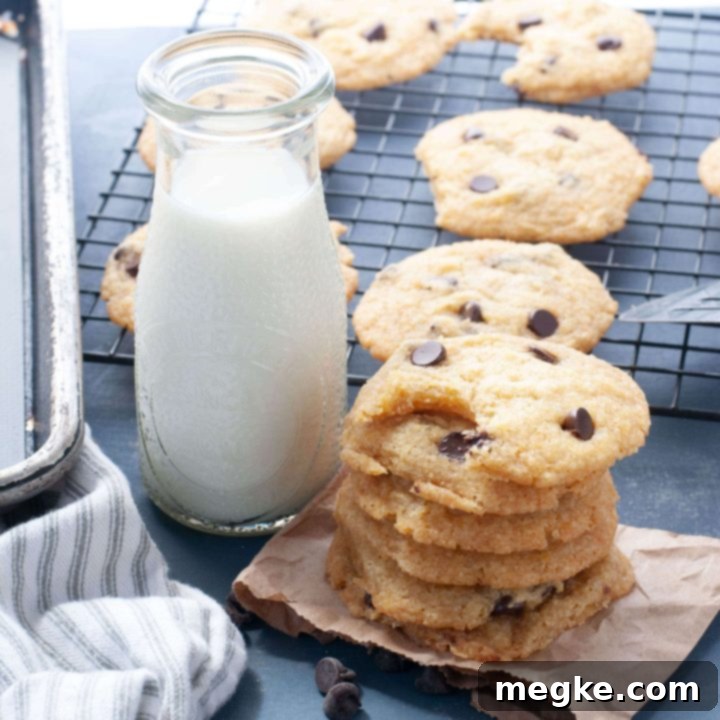 Irresistibly Soft Chocolate Chip Cookies Made Without Gluten Dairy Eggs or Nuts 8 Gluten-free, dairy-free chocolate chip cookies stacked high next to a glass of plant-based milk