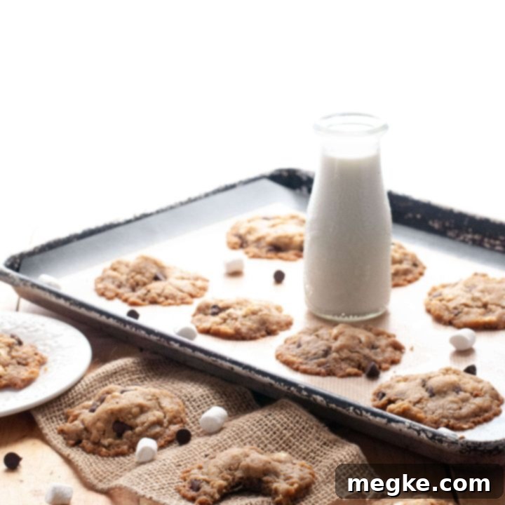 Gluten, Dairy, Egg, Nut-Free S'mores Cookies: The Video Recipe 6 gluten-free-vegan-smores-cookie