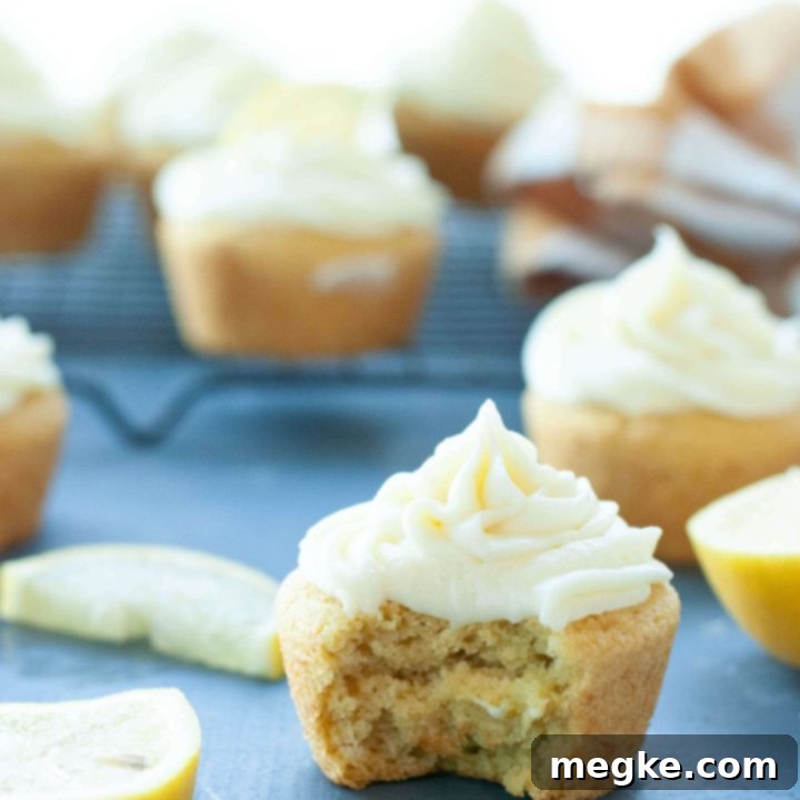 Easy 3-Ingredient Vegan Gluten-Free Lemon Cupcakes with Lemon 'Cream Cheese' Frosting 8 gluten-free-dairy-free-lemon-cupcakes (1 of 1)