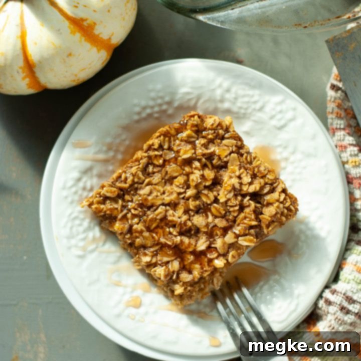 Spiced Vegan Pumpkin Oat Bake 6 gluten-free-dairy-free-baked-pumpkin-oatmeal-square-on-a-plate-from-above, showing its perfect texture and rich color.