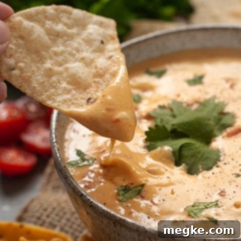 Creamy Cashew-Free Vegan Queso 7 dairy-free-cheese-dip-recipe, cashew-free vegan queso