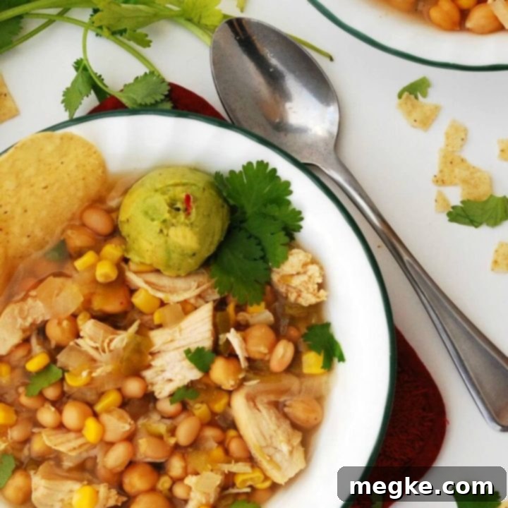 Allergy-Friendly Slow Cooker White Chicken Chili 2 Dairy-Free-Slow-Cooker-White-Chicken-Chili-recipe