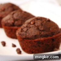 Healthier Top 8 Allergen Free Gluten Free Vegan Double Chocolate Muffins 2 Double Chocolate Muffins (GF, DF, Egg, Soy, Peanut/Tree nut Free, Top 8 Free, Vegan) copyrighted by Allergy Awesomeness