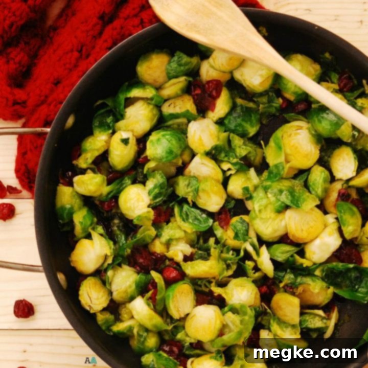 Caramelized Brussels Sprouts with Craisins Gluten Free Vegan 3 gluten free vegan brown sugar Brussels sprouts with craisins