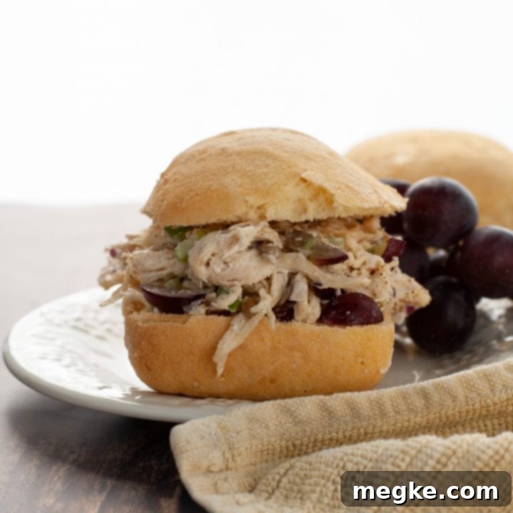 Delicious Gluten and Dairy Free Chicken Salad Sandwich Egg Free Option 6 gluten-dairy-and-egg-free-chicken-salad-sandwich
