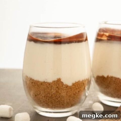 No Bake Gluten and Dairy Free S'mores Parfaits 7 No Bake Gluten & Dairy Free S'mores Parfaits, a delightful allergy-friendly treat