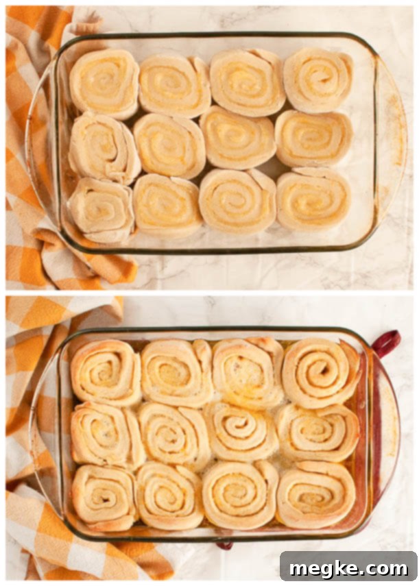 Effortless Gluten-Free Vegan Orange Rolls 7 Comparison photo: gluten-free vegan orange rolls before and after baking